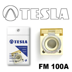 �������������� Tesla �������������� ���������� FM  100A | ������� FM100A